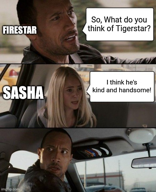 Sasha's Opinion Warrior Cats | So, What do you think of Tigerstar? FIRESTAR; I think he's kind and handsome! SASHA | image tagged in memes,the rock driving | made w/ Imgflip meme maker