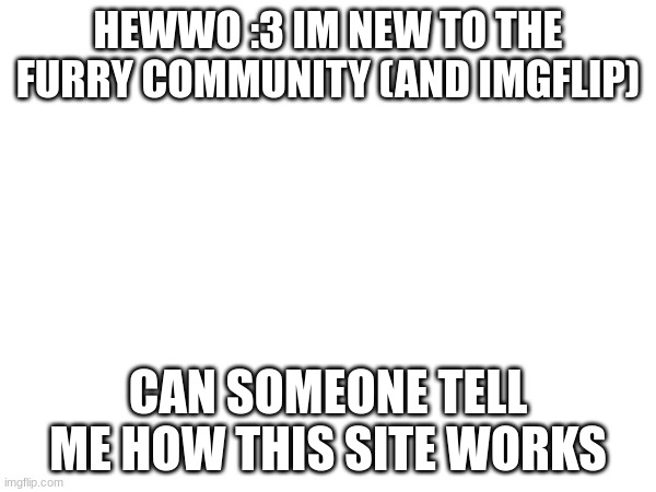 HEWWO :3 IM NEW TO THE FURRY COMMUNITY (AND IMGFLIP); CAN SOMEONE TELL ME HOW THIS SITE WORKS | made w/ Imgflip meme maker