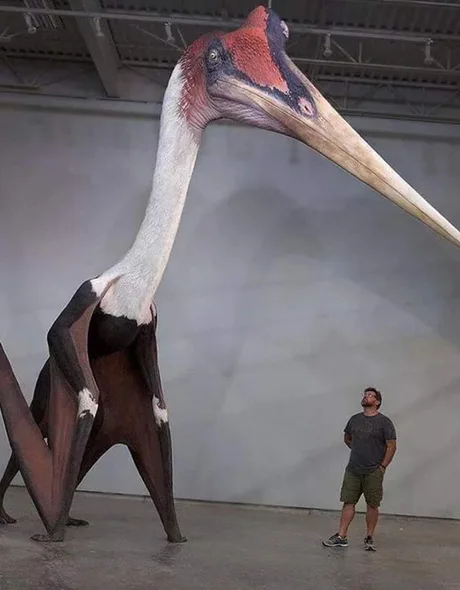 Quetzalcoatlus Blank Meme Template