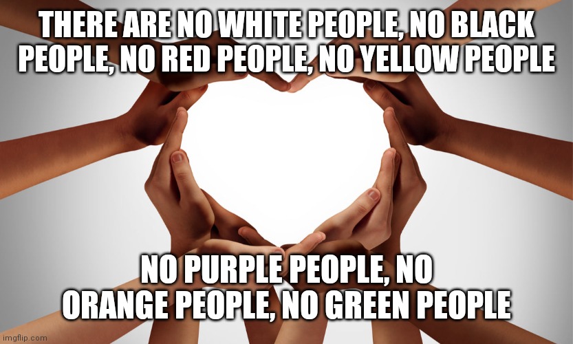 The Human Race is some shade of brown | THERE ARE NO WHITE PEOPLE, NO BLACK PEOPLE, NO RED PEOPLE, NO YELLOW PEOPLE; NO PURPLE PEOPLE, NO ORANGE PEOPLE, NO GREEN PEOPLE | image tagged in the human race | made w/ Imgflip meme maker