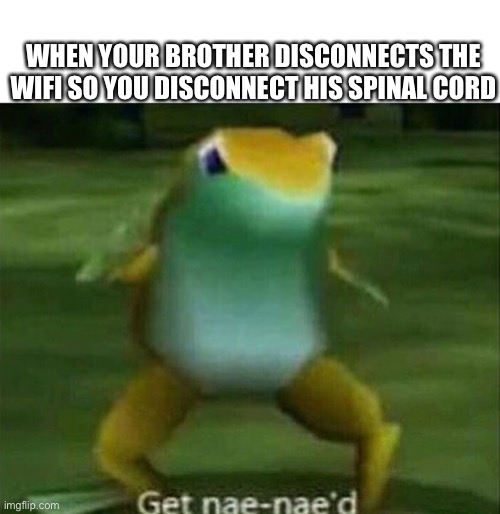 get nae-nae’d | WHEN YOUR BROTHER DISCONNECTS THE WIFI SO YOU DISCONNECT HIS SPINAL CORD | image tagged in get nae-nae'd | made w/ Imgflip meme maker