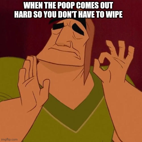 At least not much | WHEN THE POOP COMES OUT HARD SO YOU DON'T HAVE TO WIPE | image tagged in when x just right | made w/ Imgflip meme maker