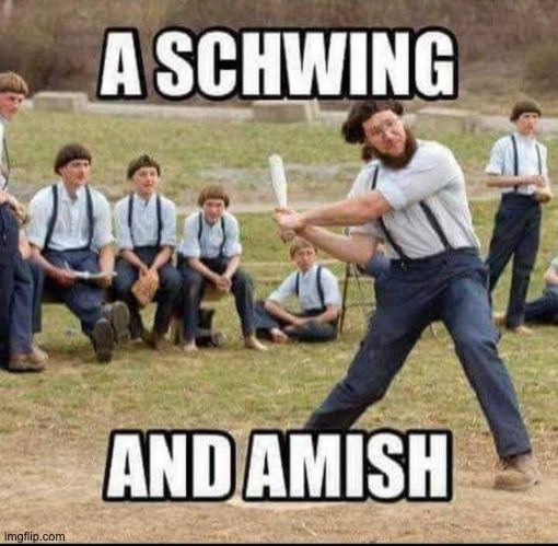 Schwing | image tagged in bad pun | made w/ Imgflip meme maker