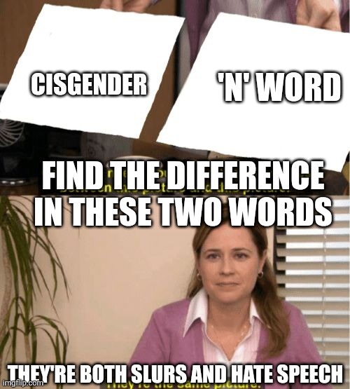 Both are violation of imgflip TOS | 'N' WORD; CISGENDER; FIND THE DIFFERENCE IN THESE TWO WORDS; THEY'RE BOTH SLURS AND HATE SPEECH | image tagged in i see no diffrence | made w/ Imgflip meme maker