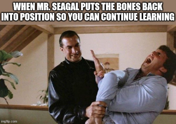 Steven Seagal Arm Break | WHEN MR. SEAGAL PUTS THE BONES BACK INTO POSITION SO YOU CAN CONTINUE LEARNING | image tagged in steven seagal arm break | made w/ Imgflip meme maker