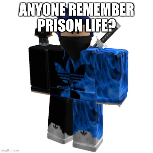 Zero Frost | ANYONE REMEMBER PRISON LIFE? | image tagged in zero frost | made w/ Imgflip meme maker