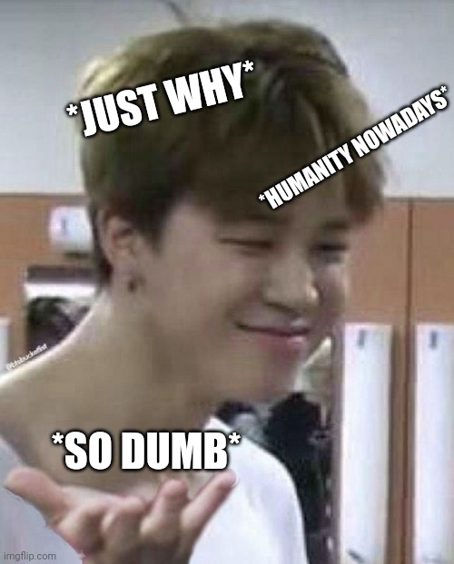Random | *JUST WHY*; *HUMANITY NOWADAYS*; *SO DUMB* | image tagged in why,jimin,bts,bangtan boys,memes,reaction | made w/ Imgflip meme maker