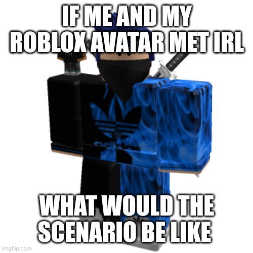 Zero Frost | IF ME AND MY ROBLOX AVATAR MET IRL; WHAT WOULD THE SCENARIO BE LIKE | image tagged in zero frost | made w/ Imgflip meme maker