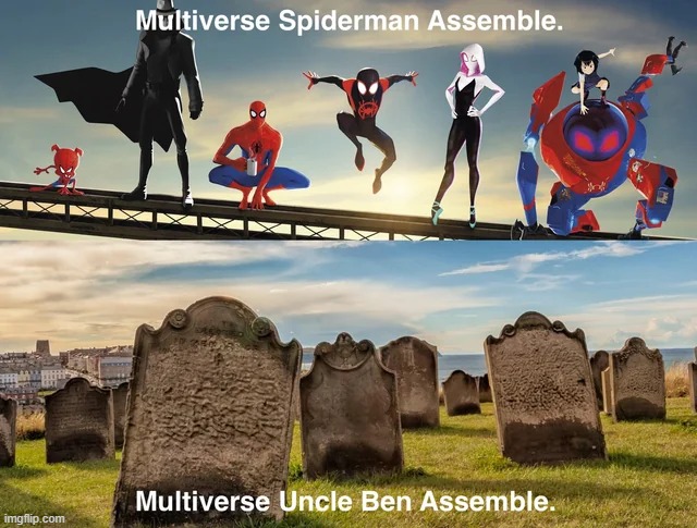 That's Cold | image tagged in multiverse,spiderman | made w/ Imgflip meme maker
