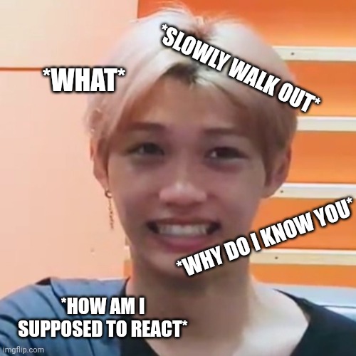 Skz | *SLOWLY WALK OUT*; *WHAT*; *WHY DO I KNOW YOU*; *HOW AM I SUPPOSED TO REACT* | image tagged in skz felix cringing,kpop,meme,funny meme,reaction,reactions | made w/ Imgflip meme maker
