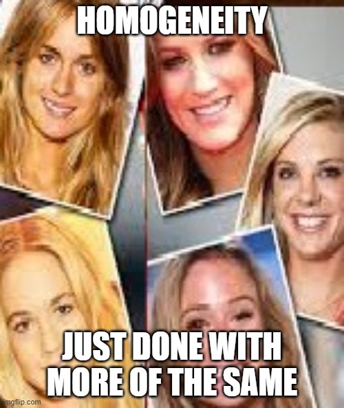 Prince Harry Ex Girlfriends | HOMOGENEITY; JUST DONE WITH MORE OF THE SAME | image tagged in prince harry,meghan markle,prince harry ex girlfriends | made w/ Imgflip meme maker