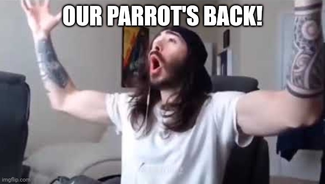 Penguin0 Cheering | OUR PARROT'S BACK! | image tagged in penguin0 cheering | made w/ Imgflip meme maker