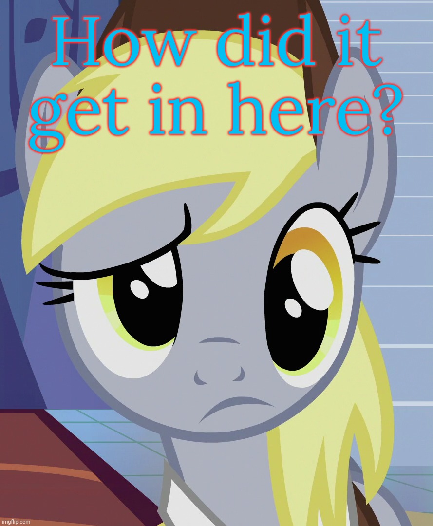 Skeptical Derpy (MLP) | How did it get in here? | image tagged in skeptical derpy mlp | made w/ Imgflip meme maker