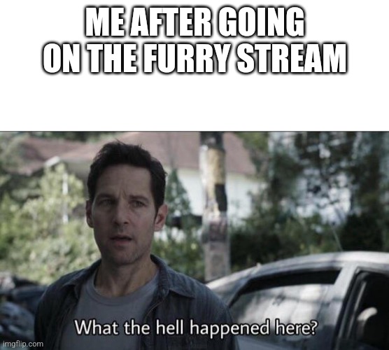 Like so many wars and shit | ME AFTER GOING ON THE FURRY STREAM | image tagged in what the hell happened here | made w/ Imgflip meme maker