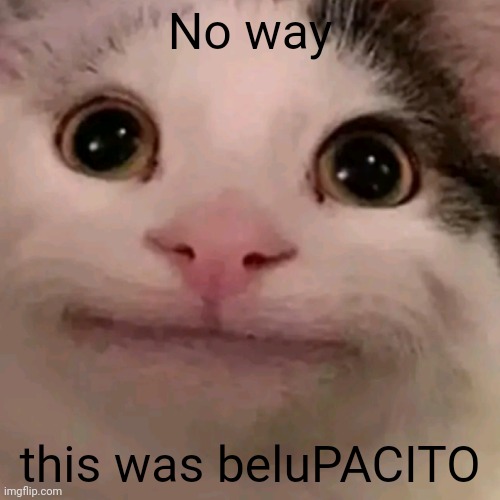 Beluga | No way; this was beluPACITO | image tagged in beluga | made w/ Imgflip meme maker