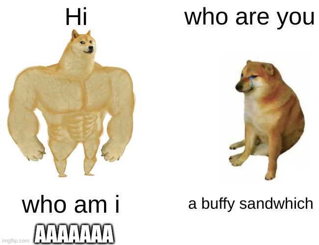 a buffy sandwhich | Hi; who are you; who am i; a buffy sandwhich; AAAAAAA | image tagged in memes,buff doge vs cheems | made w/ Imgflip meme maker