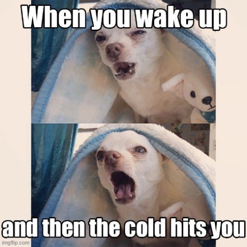 Sucks everytime you leave the bed, your body gets overwhelmed by cold morning air X_X | image tagged in cold,bed | made w/ Imgflip meme maker