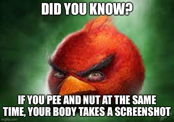 Realistic Red Angry Birds | DID YOU KNOW? IF YOU PEE AND NUT AT THE SAME TIME, YOUR BODY TAKES A SCREENSHOT | image tagged in realistic red angry birds | made w/ Imgflip meme maker