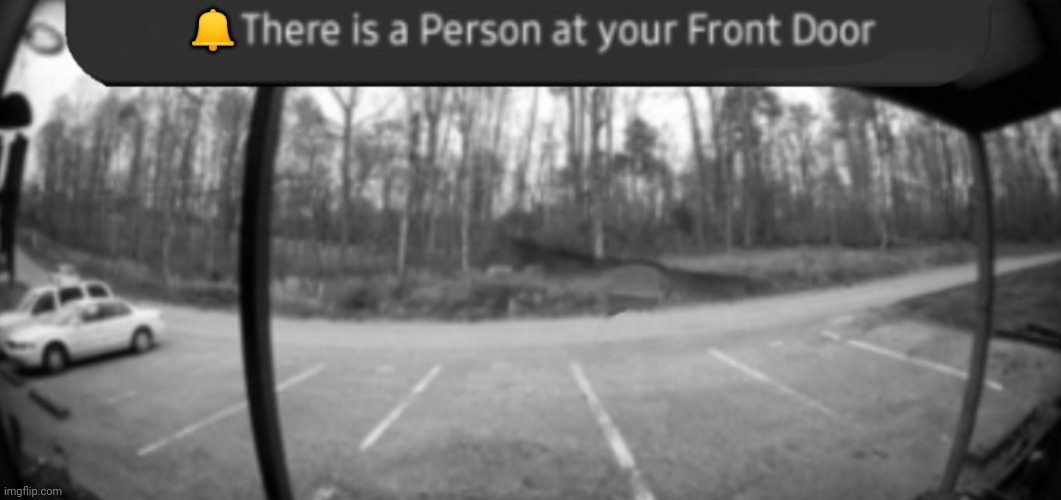 There is a person at your front door ( night ) Blank Meme Template