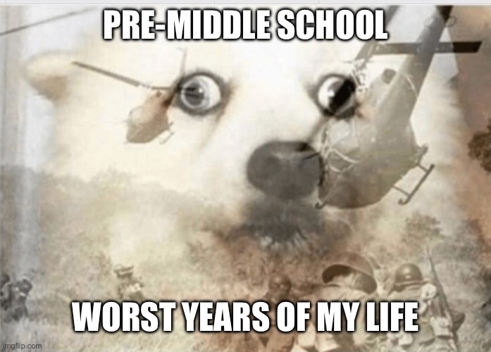 Anyone feel | PRE-MIDDLE SCHOOL; WORST YEARS OF MY LIFE | image tagged in ptsd dog | made w/ Imgflip meme maker
