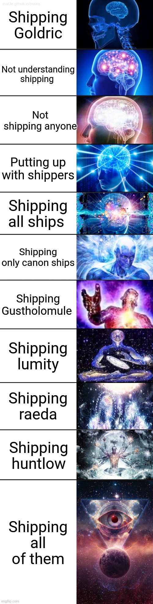 11-Tier Expanding Brain | Shipping Goldric; Not understanding shipping; Not shipping anyone; Putting up with shippers; Shipping all ships; Shipping only canon ships; Shipping Gustholomule; Shipping lumity; Shipping raeda; Shipping huntlow; Shipping all of them | image tagged in 11-tier expanding brain | made w/ Imgflip meme maker