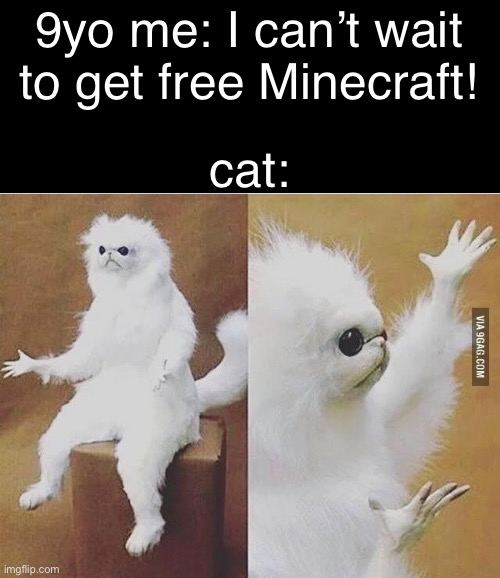 Idk | 9yo me: I can’t wait to get free Minecraft! cat: | image tagged in confused white monkey | made w/ Imgflip meme maker
