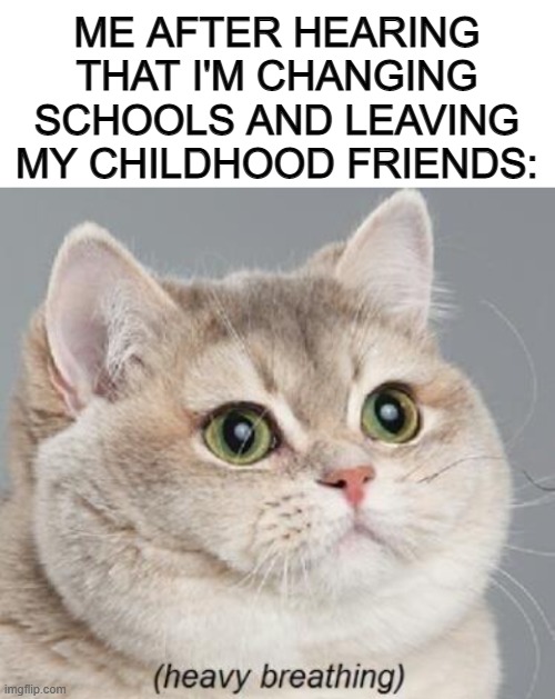 Farewell my good friends ;~; | ME AFTER HEARING THAT I'M CHANGING SCHOOLS AND LEAVING MY CHILDHOOD FRIENDS: | image tagged in blank white template,memes,heavy breathing cat | made w/ Imgflip meme maker
