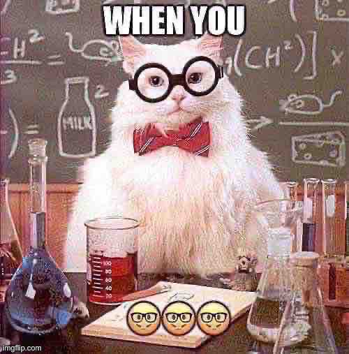 ??????? | image tagged in nerd,science cat,cat,nerd emoji | made w/ Imgflip meme maker