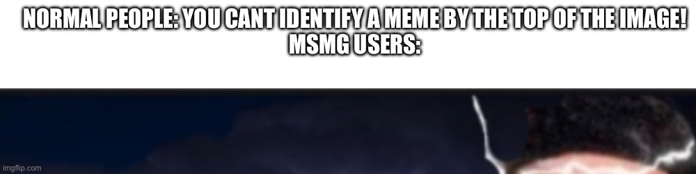 NORMAL PEOPLE: YOU CANT IDENTIFY A MEME BY THE TOP OF THE IMAGE!
MSMG USERS: | made w/ Imgflip meme maker