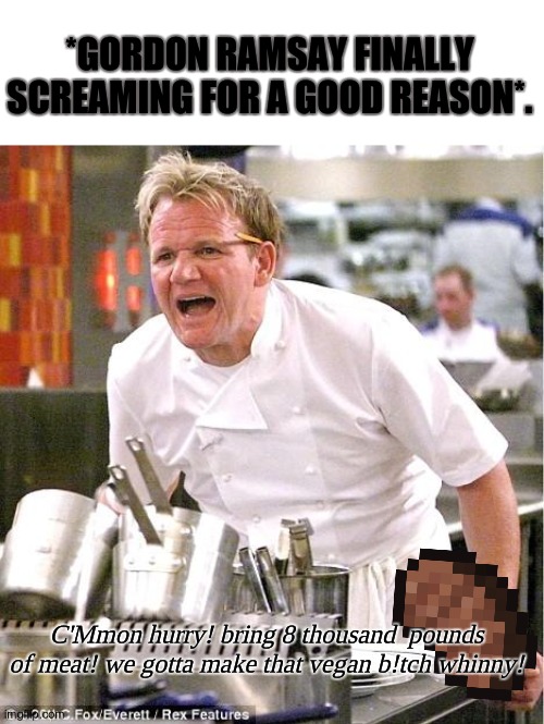 Always scream for good reasons! ^_^ | *GORDON RAMSAY FINALLY SCREAMING FOR A GOOD REASON*. C'Mmon hurry! bring 8 thousand  pounds of meat! we gotta make that vegan b!tch whinny! | image tagged in memes,chef gordon ramsay,raged | made w/ Imgflip meme maker