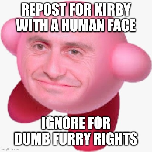 Repost For Kirby With A Human Face | REPOST FOR KIRBY WITH A HUMAN FACE; IGNORE FOR DUMB FURRY RIGHTS | image tagged in kirby,repost,cursed image | made w/ Imgflip meme maker