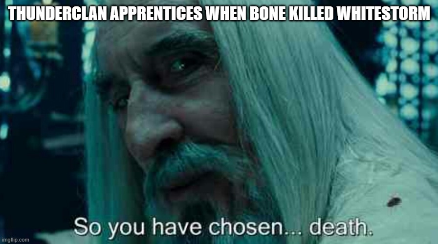 So you have chosen death | THUNDERCLAN APPRENTICES WHEN BONE KILLED WHITESTORM | image tagged in so you have chosen death | made w/ Imgflip meme maker