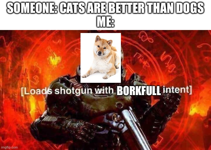 bork | SOMEONE: CATS ARE BETTER THAN DOGS
ME:; BORKFULL | image tagged in loads shotgun with malicious intent | made w/ Imgflip meme maker