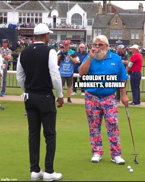 John Daly and Tiger Woods | COULDN'T GIVE A MONKEY'S, OBIWAN | image tagged in john daly and tiger woods | made w/ Imgflip meme maker