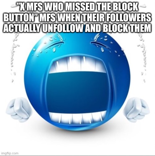 Crying Blue guy | ”X MFS WHO MISSED THE BLOCK BUTTON” MFS WHEN THEIR FOLLOWERS ACTUALLY UNFOLLOW AND BLOCK THEM | image tagged in crying blue guy | made w/ Imgflip meme maker