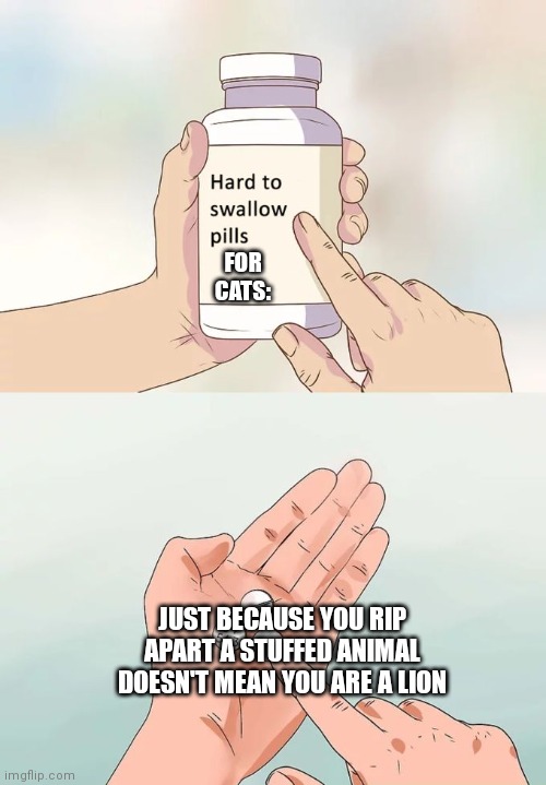 Hard To Swallow Pills Meme | FOR CATS:; JUST BECAUSE YOU RIP APART A STUFFED ANIMAL DOESN'T MEAN YOU ARE A LION | image tagged in memes,hard to swallow pills,stuffed animal,cats,cat,lion | made w/ Imgflip meme maker