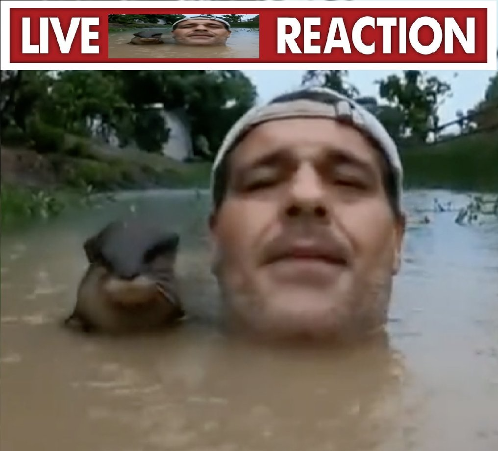 Live Flood guy and Otter Reaction Blank Meme Template