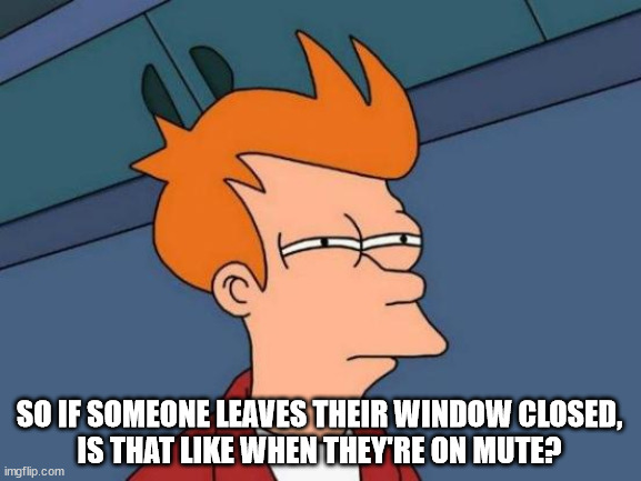 Futurama Fry Meme | SO IF SOMEONE LEAVES THEIR WINDOW CLOSED,
IS THAT LIKE WHEN THEY'RE ON MUTE? | image tagged in memes,futurama fry | made w/ Imgflip meme maker