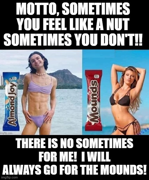 There is no sometimes for me!! | image tagged in nuts | made w/ Imgflip meme maker