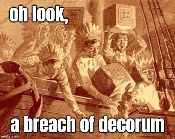 oh look... | oh look, a breach of decorum | image tagged in boston tea party,breach of decorum,good,trouble,fake,outrage | made w/ Imgflip meme maker