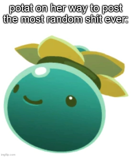 Tangle slime | potat on her way to post the most random shit ever: | image tagged in tangle slime | made w/ Imgflip meme maker