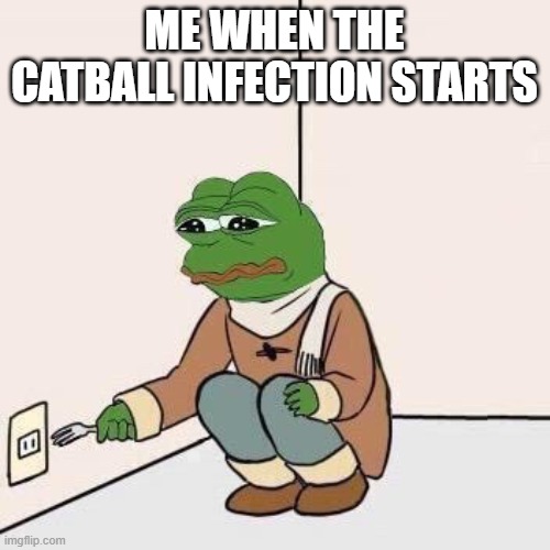 Sad Pepe Suicide | ME WHEN THE CATBALL INFECTION STARTS | image tagged in sad pepe suicide | made w/ Imgflip meme maker