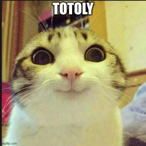 TOTOLY | image tagged in totaly | made w/ Imgflip meme maker