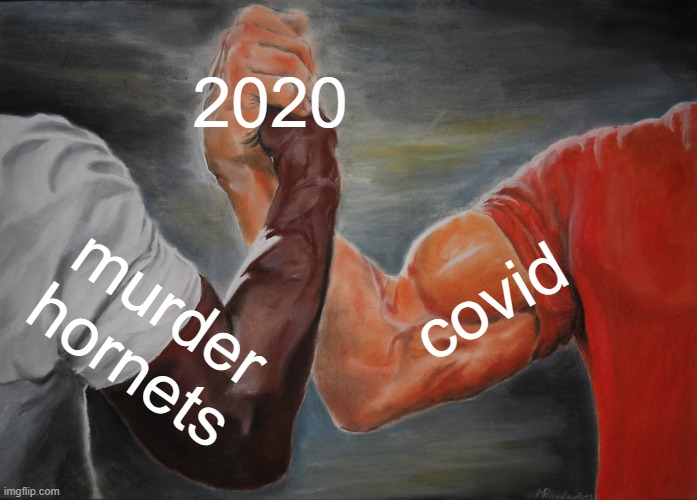 Epic Handshake Meme | 2020; covid; murder hornets | image tagged in memes,epic handshake | made w/ Imgflip meme maker