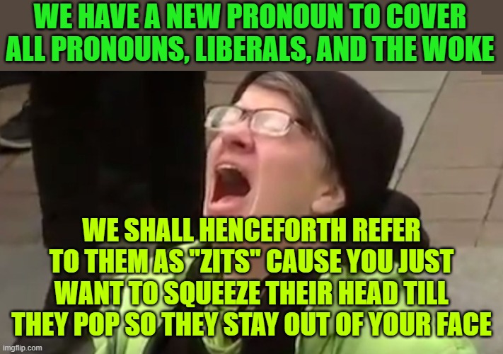 Screaming Liberal  | WE HAVE A NEW PRONOUN TO COVER ALL PRONOUNS, LIBERALS, AND THE WOKE; WE SHALL HENCEFORTH REFER TO THEM AS "ZITS" CAUSE YOU JUST WANT TO SQUEEZE THEIR HEAD TILL THEY POP SO THEY STAY OUT OF YOUR FACE | image tagged in screaming liberal | made w/ Imgflip meme maker