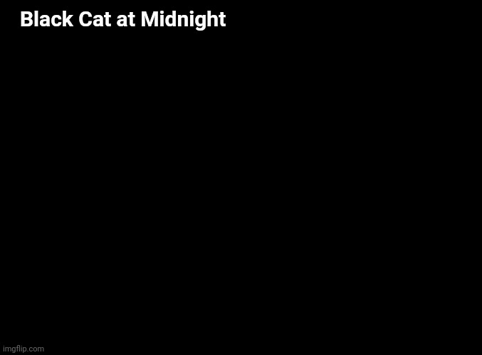 blank black | Black Cat at Midnight | image tagged in blank black | made w/ Imgflip meme maker