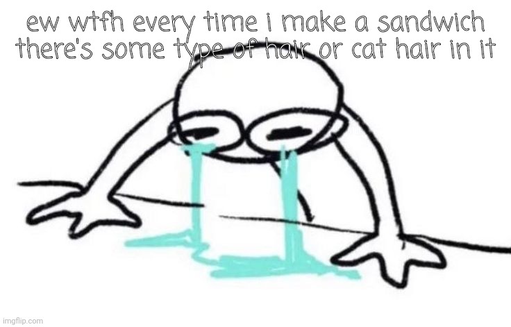 cries | ew wtfh every time i make a sandwich there's some type of hair or cat hair in it | image tagged in tbh | made w/ Imgflip meme maker