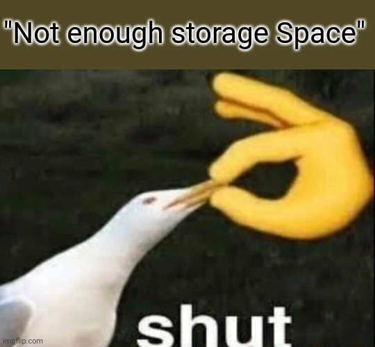 Upvote if You Agree | "Not enough storage Space" | image tagged in shut,relateable | made w/ Imgflip meme maker