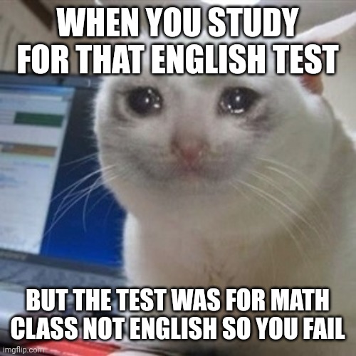 Anyone else? | WHEN YOU STUDY FOR THAT ENGLISH TEST; BUT THE TEST WAS FOR MATH CLASS NOT ENGLISH SO YOU FAIL | image tagged in crying cat,school,math,english,test,exams | made w/ Imgflip meme maker