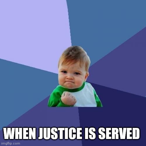 You feel the power of success | WHEN JUSTICE IS SERVED | image tagged in memes,success kid,funny memes | made w/ Imgflip meme maker